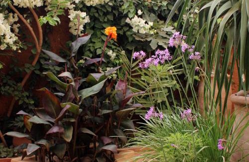Mirleft House | Tifawin Home And Garden