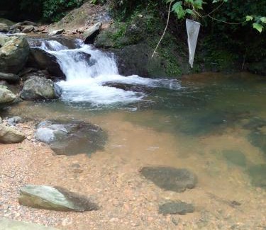 Bukit Lawang House | Tiga dara guest house jungle trekking