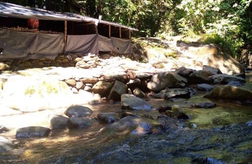 Bukit Lawang House | Tiga dara guest house jungle trekking