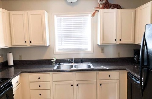 Auburn Condo | Tiger Paw 1