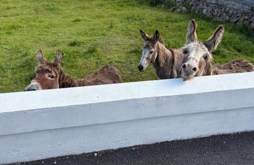 Lettermullan House | Tigh Oisin