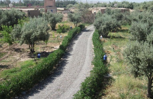 Ait Azzi House | Tigmmi Bahamou