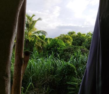 Deshaies Hostel | Tikazalou Eco Hostel