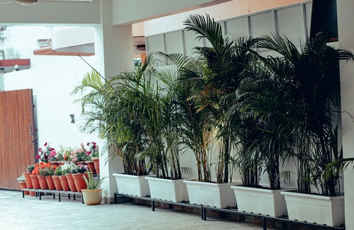 Bullawala Apartment | TIM Stayz Deharadun