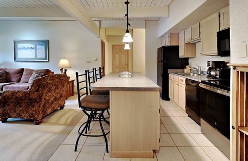 Snowmass Village Condo | 🌲Timberline A1B Standard 1-Bedroom ~ Hot Tub~Pool~WiFi~Ski-in/out~Local Shuttle🌲