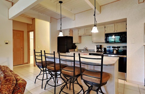 Snowmass Village Condo | 🌲Timberline A1B Standard 1-Bedroom ~ Hot Tub~Pool~WiFi~Ski-in/out~Local Shuttle🌲