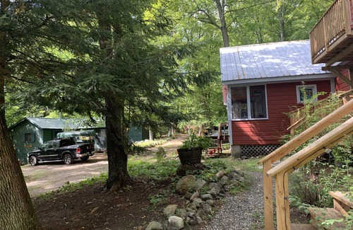 Paradox House | Timberwolf house (winter-spring)