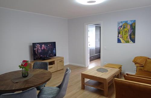 Druskininkai Apartment | TIMO butas