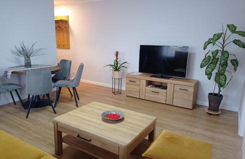 Druskininkai Apartment | TIMO butas