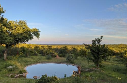 Phalaborwa Cabin | Tingala Lodge - Bed in the Bush