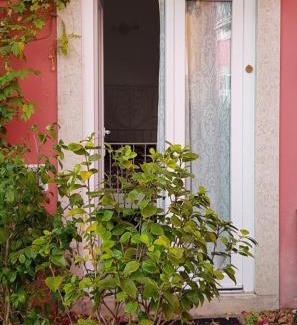 Alfama Hotel | Tings Lisbon
