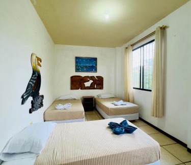 Bahia de la Academia Apartment | Tintorera Guest House
