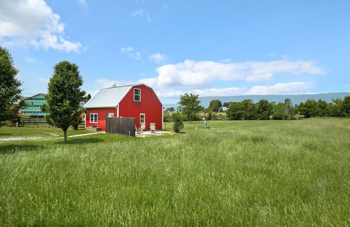 Luray House | Tiny Barn w/Modern Charm on 3 Acres, Mountain and Pasture Views- Sleeps 4