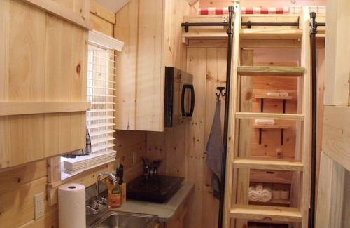 Elizabethton Cabin | Tiny Cabin on Watauga River in Elizabethton TN 1000 feet of private river front!