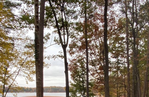 Martin Cottage | Tiny Cottage with Big Views