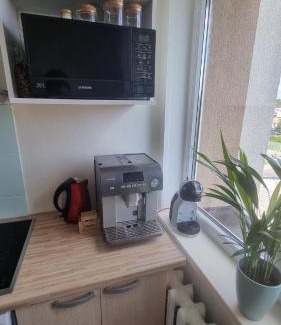 Varena Apartment | Tiny cozy apartment 'Unihus'