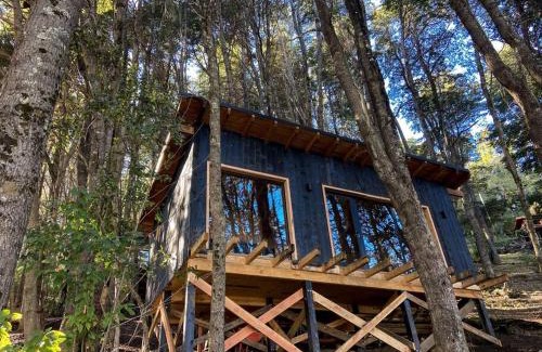 Peninsula San Pedro House | Tiny house sobre el lago nahuel huapi