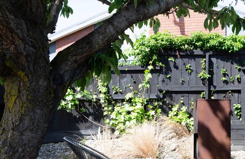Wanaka Cabin | Tiny house - big fun! Mountain views, private garden, indoor & outdoor fires.