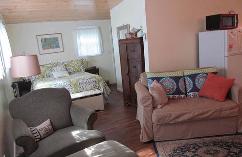 Fairview House | Tiny House, Comfy, dog friendly, 12 miles to Asheville. No cleaning or pet fees!