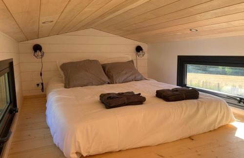 Goos Ski Chalet | Tiny House Lou Cabanot