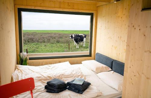 Harlesiel House | Tiny House Nature 3 Zur Kuhweide - Green Tiny Village Harlesiel