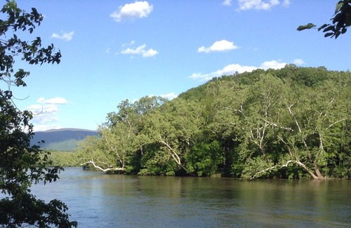 Luray Cabin | Tiny House, Riverfront, Firepit, Outdoor Shelter, Floating Dock, Sat. TV