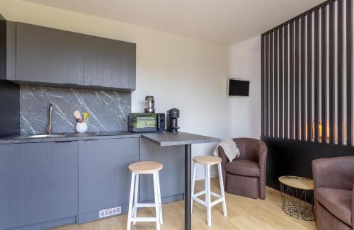 Loctudy Apartment | Tiny house spa terrasse 15min plage