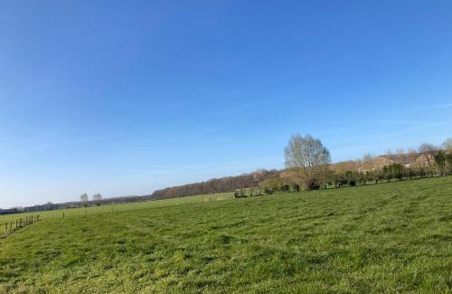 Wingene House | Tiny House 't klein geluk dichtbij Brugge met fiets'