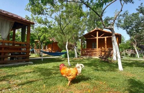 Salkhino Ski Chalet | Tiny houses Genacvale