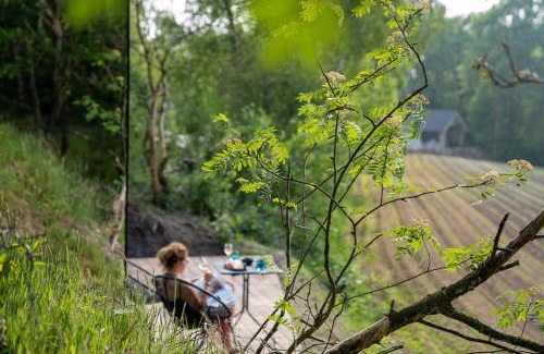Wilsum House | Tiny Mirror House – Luxe ÖÖD Suite