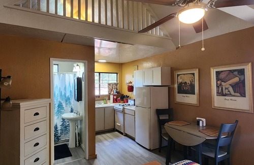 Idyllwild Apartment | Tiny Mountain Cabin under the pines. Close to town. Dogs ok.