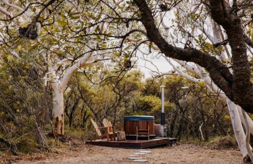 Dural House | Tiny Wombat