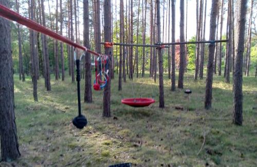 Cottbus Other | Tinyhaus idyllisch am Waldesrand
