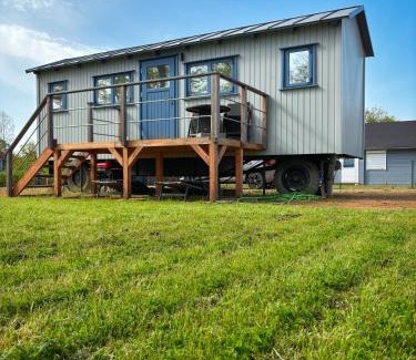 Rheinsberg House | Tinyhaus Löwenzahn