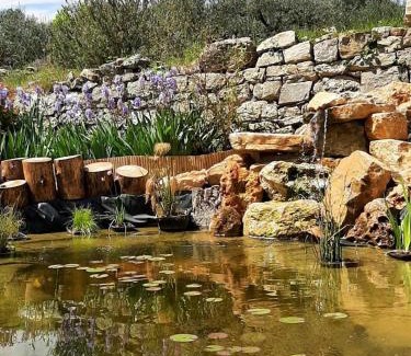 Trans-en-Provence Other | Tipizen