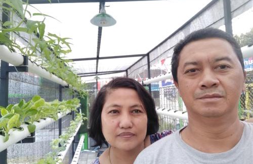 Banyuwangi House | Titan's Greenhouse