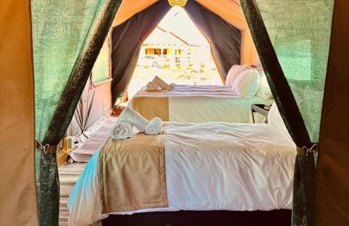 Pilanesberg National Park Other | Tlou Tribal Lodge
