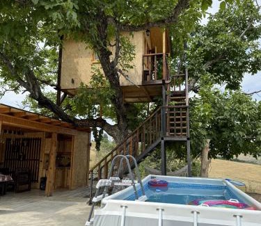 Kapan Other | Tnak Dream House