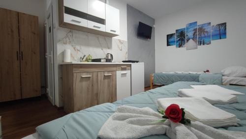 Nis Apartment | TNT accommodation