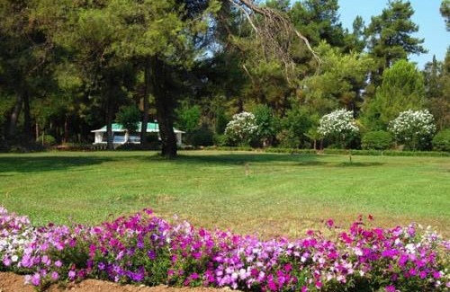 Loutra Ypatis Hotel | To NEON