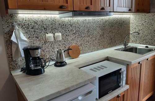 Panteleimon Apartment | To Patriko Mas Guesthouse-2