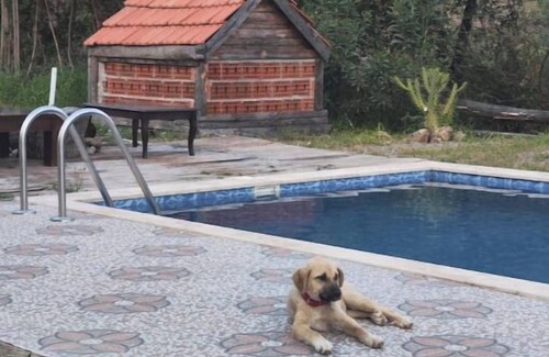 Ortaca House | Togo iztuzu Stonehouse-5