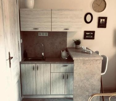 Karlovy Vary Apartment | Tomas Apartments Silver
