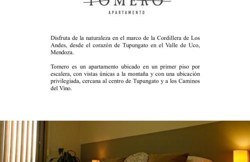 Tupungato Apartment | Tomero Apartamento