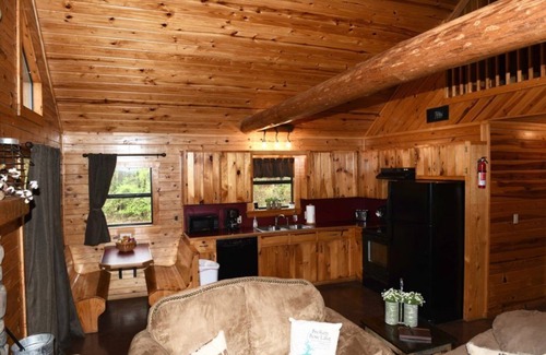 Broken Bow Cabin | Tomichi Link-N-Log Cabin Near Broken Bow Lake Damn