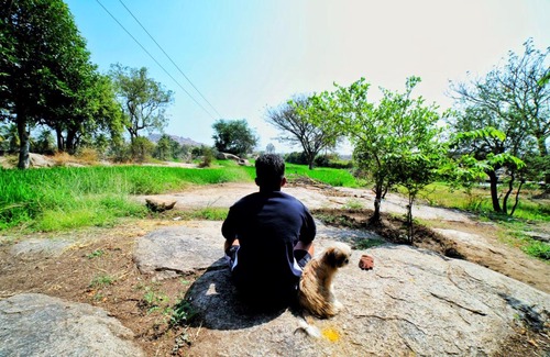 Sanapur Other | Tomorrowland Hampi