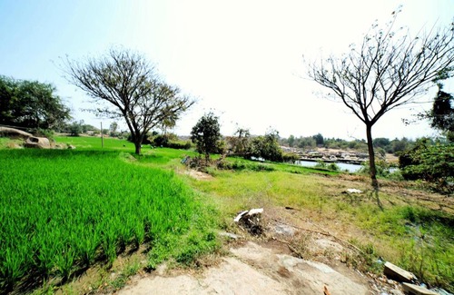Sanapur Other | Tomorrowland Hampi