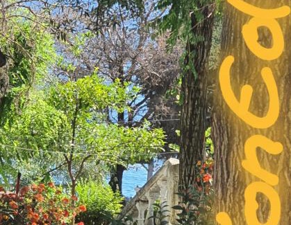 Dhermi Cabin | TONEDA Seaside Bungalows