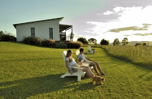 Lovedale Hotel | Tonic Hotel