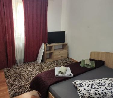 Timisoara Apartment | Tonya House 2